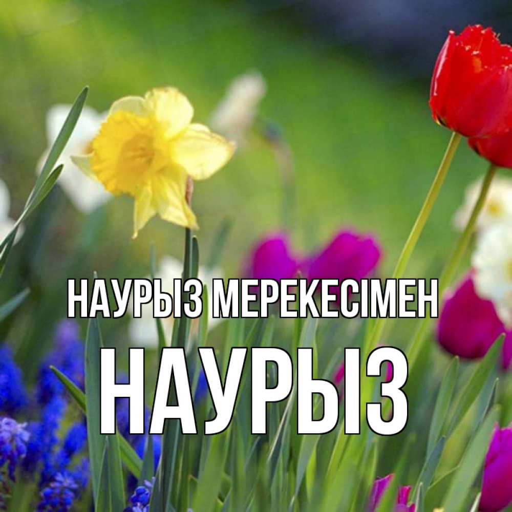 Күн сайын ашық хат с именем, НАУРЫЗ Наурыз мерекесімен праздник весны наурыз 3 Онлайн тегін жүктеп алу тілектері бар керемет карта 