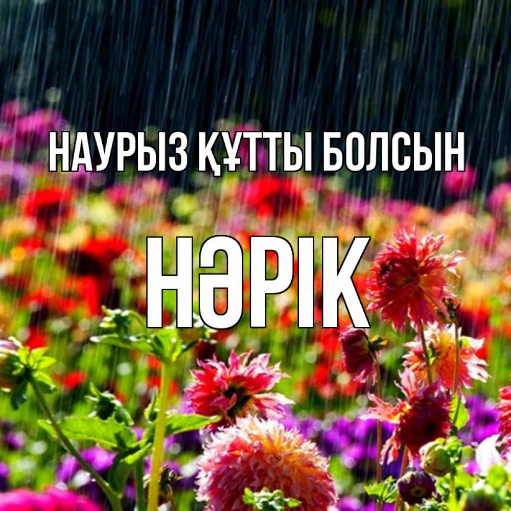 Күн сайын ашық хат с именем, НӘРІК Наурыз құтты болсын цветы под дождиком к наурызу Онлайн тегін жүктеп алу тілектері бар керемет карта 