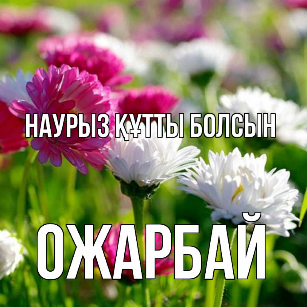 Күн сайын ашық хат с именем, ОЖАРБАЙ Наурыз құтты болсын наурыз Онлайн тегін жүктеп алу тілектері бар керемет карта 