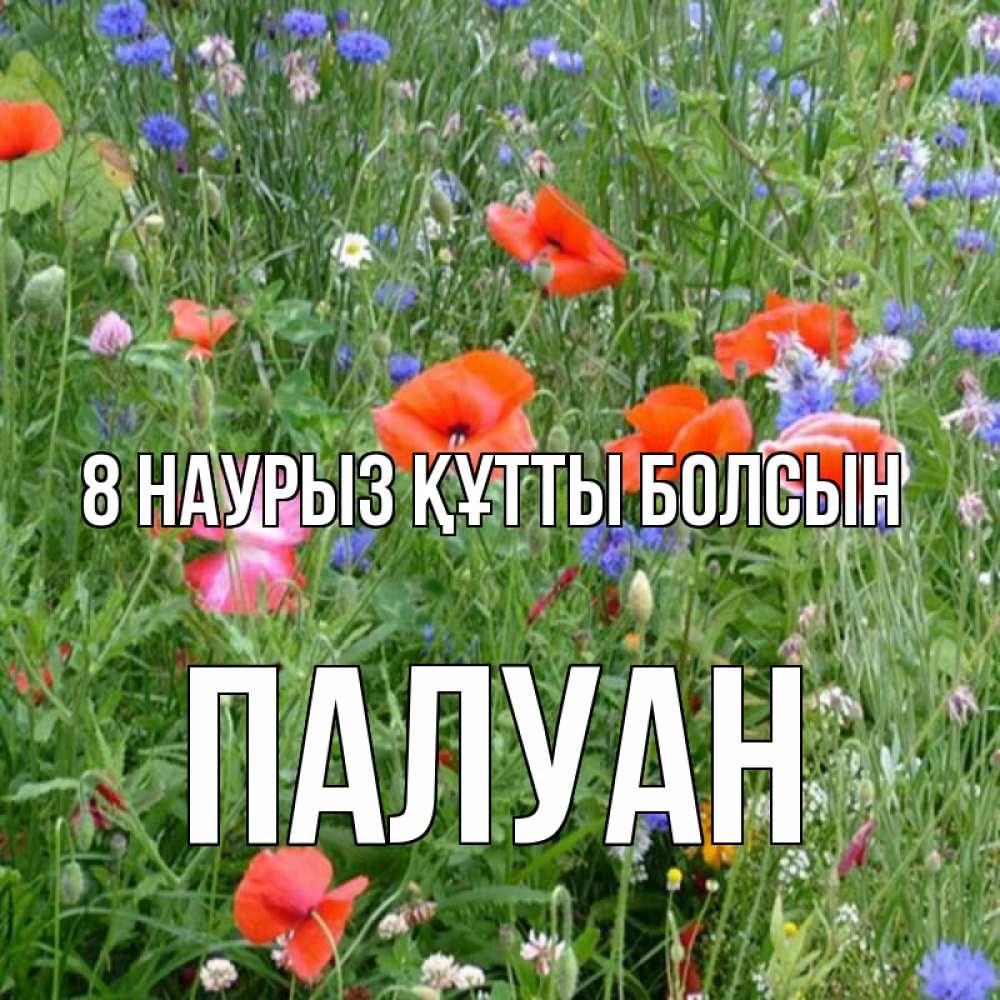 Күн сайын ашық хат с именем, ПАЛУАН 8 наурыз құтты болсын международный женский день 4 Онлайн тегін жүктеп алу тілектері бар керемет карта 
