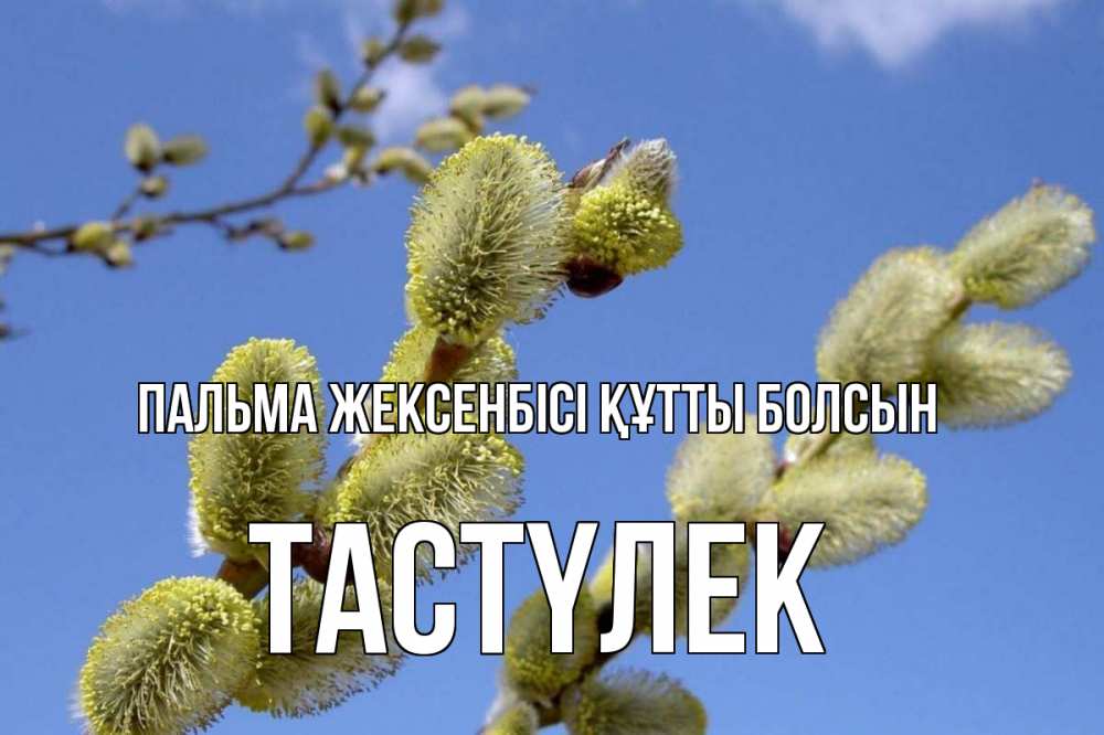 Күн сайын ашық хат с именем, ТАСТҮЛЕК Пальма жексенбісі құтты болсын верба Онлайн тегін жүктеп алу тілектері бар керемет карта 