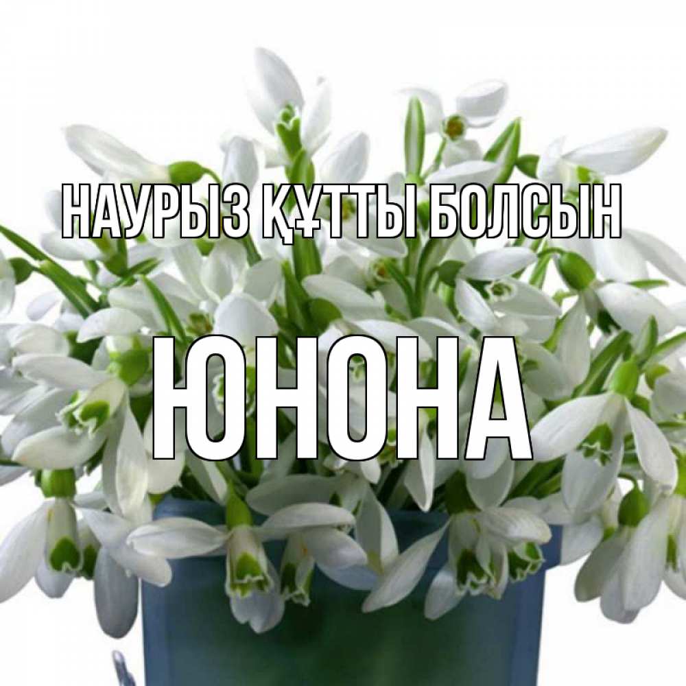 Күн сайын ашық хат с именем, Юнона Наурыз құтты болсын цветы к наурызу Онлайн тегін жүктеп алу тілектері бар керемет карта 