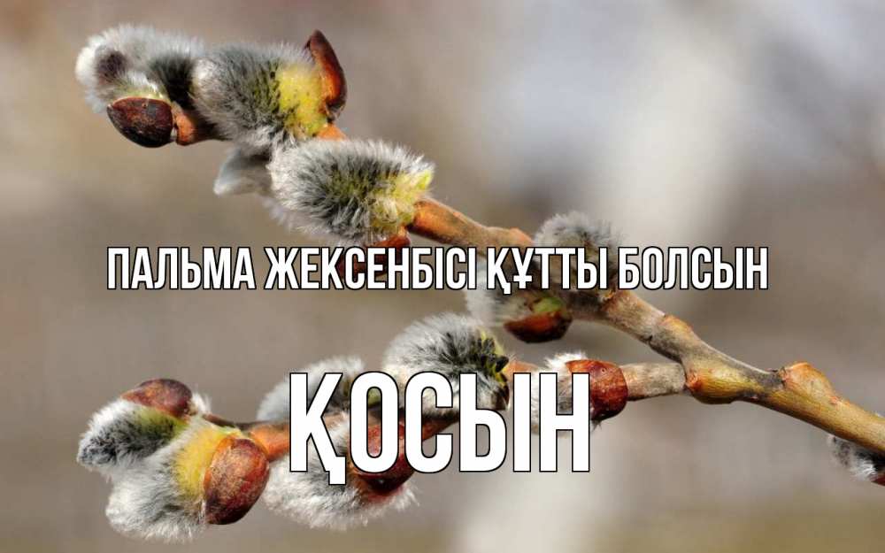 Күн сайын ашық хат с именем, ҚОСЫН Пальма жексенбісі құтты болсын Верба Онлайн тегін жүктеп алу тілектері бар керемет карта 