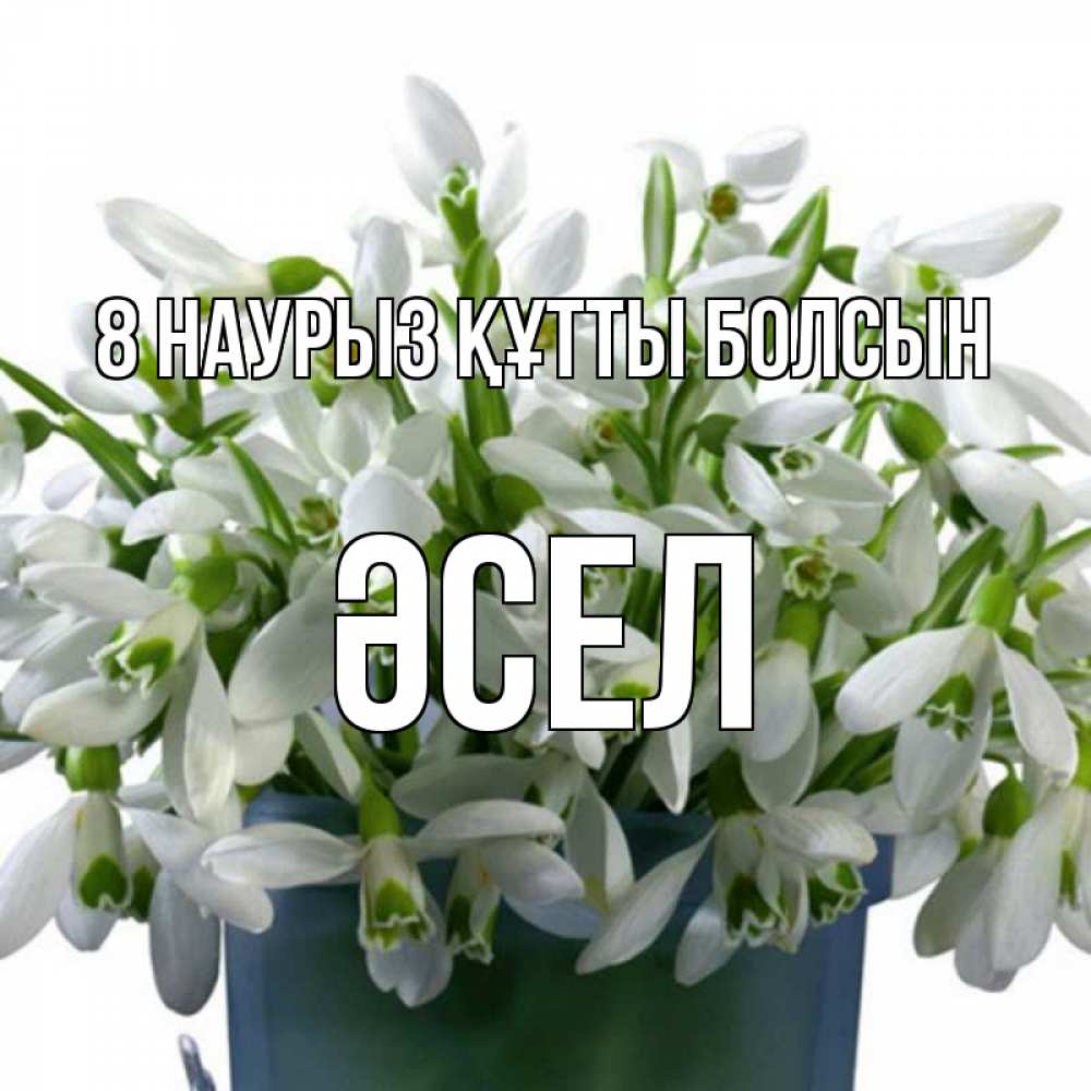 Күн сайын ашық хат с именем, ӘСЕЛ 8 наурыз құтты болсын цветы к международному женскому дню Онлайн тегін жүктеп алу тілектері бар керемет карта 