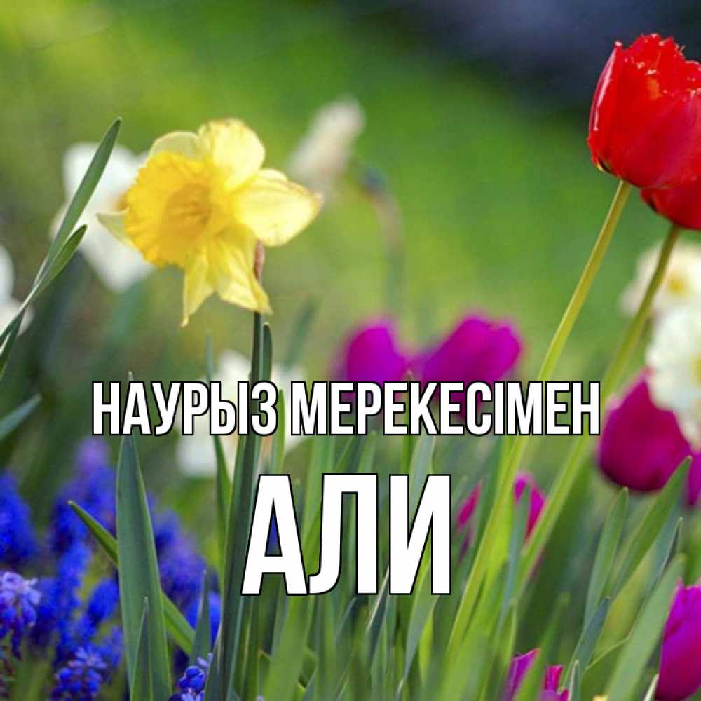 Күн сайын ашық хат с именем, Али Наурыз мерекесімен праздник весны наурыз 3 Онлайн тегін жүктеп алу тілектері бар керемет карта 
