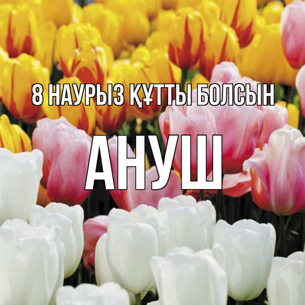 Күн сайын ашық хат с именем, Ануш 8 наурыз құтты болсын разноцветные цветы Онлайн тегін жүктеп алу тілектері бар керемет карта 