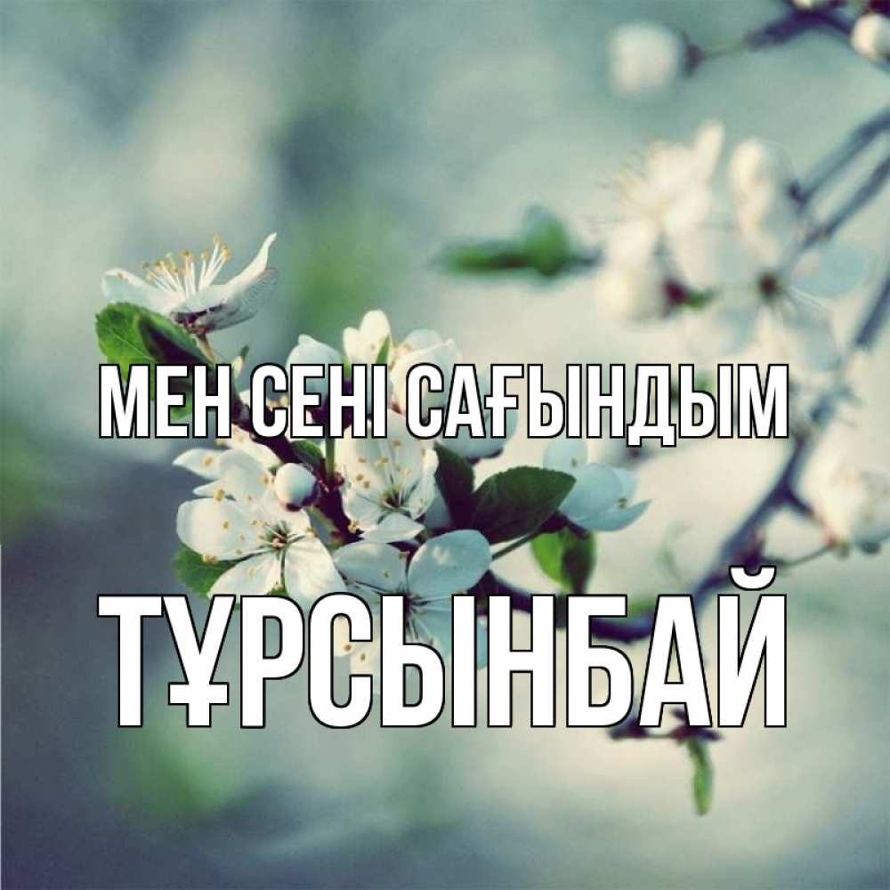Күн сайын ашық хат с именем, ТҰРСЫНБАЙ Мен сені сағындым весна Онлайн тегін жүктеп алу тілектері бар керемет карта 