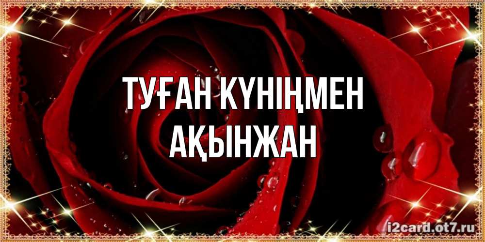 Күн сайын ашық хат с именем, Ақынжан Туған күніңмен цветок в росе на день рождения Онлайн тегін жүктеп алу тілектері бар керемет карта 