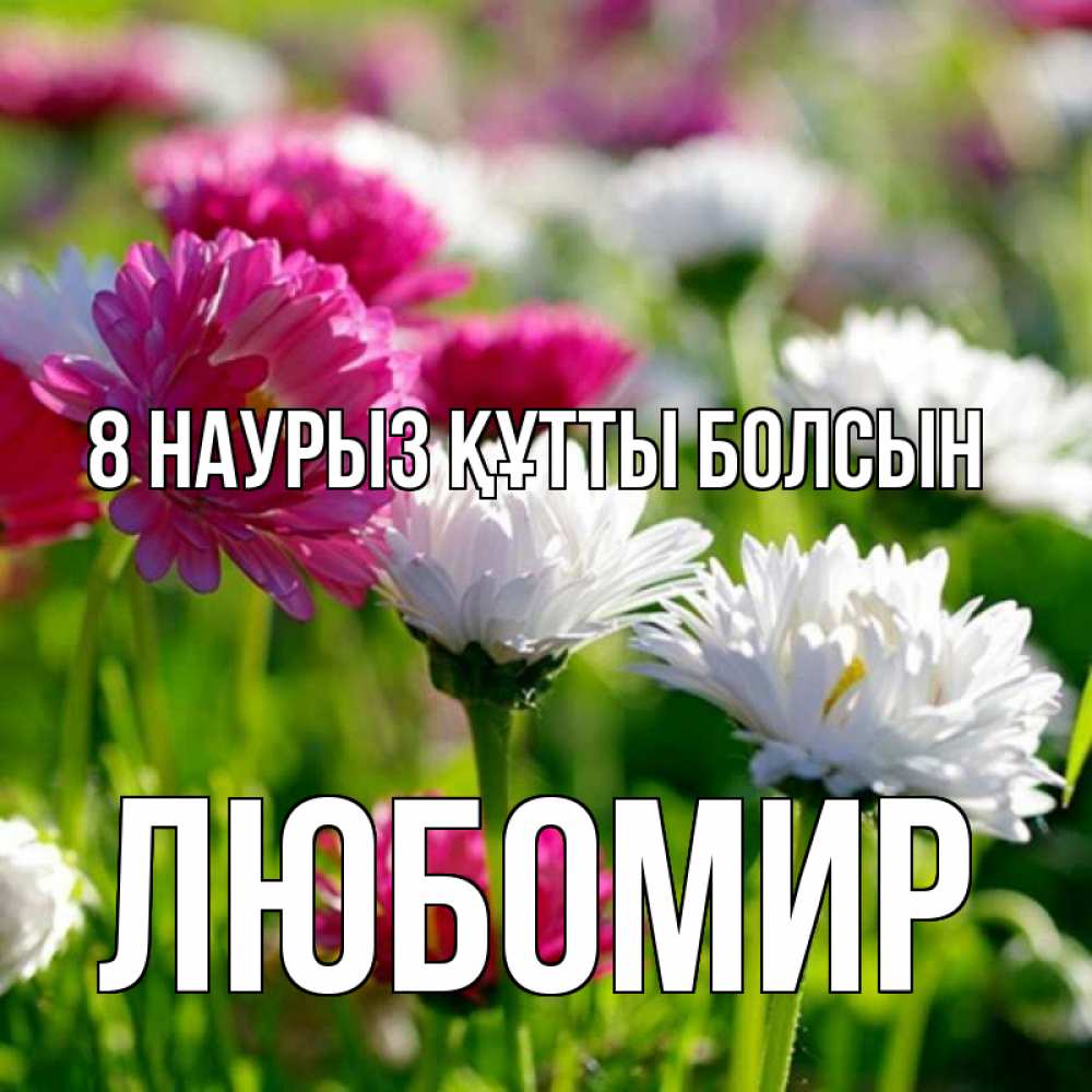 Күн сайын ашық хат с именем, Любомир 8 наурыз құтты болсын международный женский день 1 Онлайн тегін жүктеп алу тілектері бар керемет карта 
