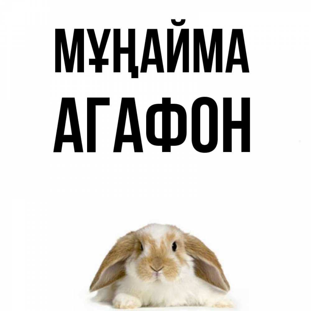 Күн сайын ашық хат с именем, Агафон Мұңайма коричнево белый заяц с большими ушками Онлайн тегін жүктеп алу тілектері бар керемет карта 