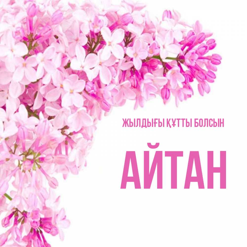 Күн сайын ашық хат с именем, Айтан Жылдығы құтты болсын Сирень на белом фоне Онлайн тегін жүктеп алу тілектері бар керемет карта 