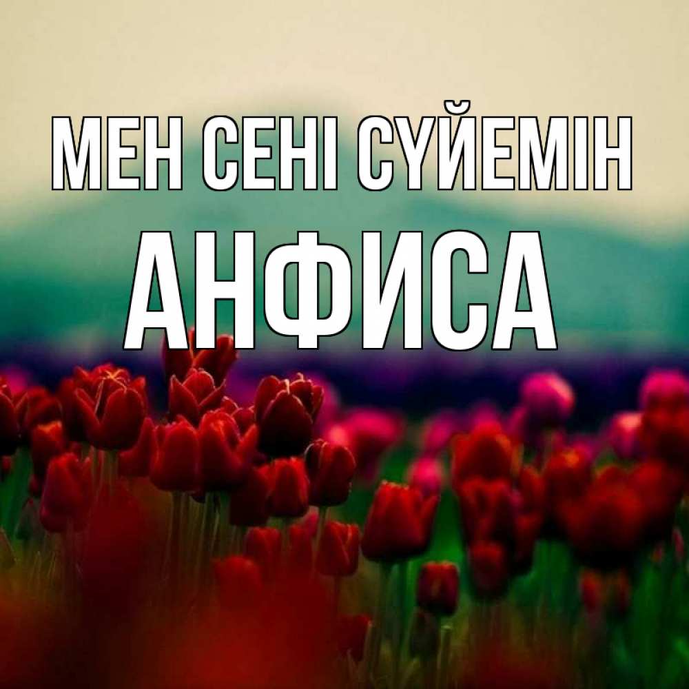 Күн сайын ашық хат с именем, Анфиса Мен сені сүйемін тюльпаны 4 Онлайн тегін жүктеп алу тілектері бар керемет карта 