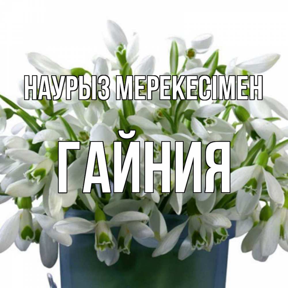 Күн сайын ашық хат с именем, ГАЙНИЯ Наурыз мерекесімен цветы к наурызу новый год в Казахстане Онлайн тегін жүктеп алу тілектері бар керемет карта 