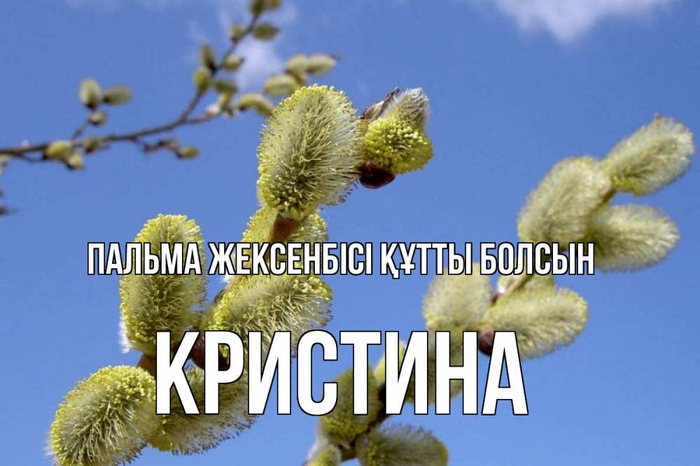 Күн сайын ашық хат с именем, Кристина Пальма жексенбісі құтты болсын верба Онлайн тегін жүктеп алу тілектері бар керемет карта 