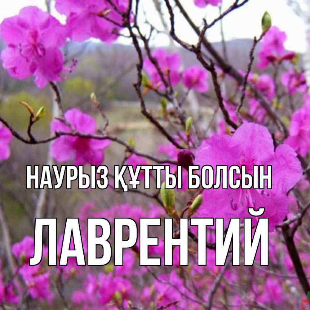 Күн сайын ашық хат с именем, Лаврентий Наурыз құтты болсын наурыз мейрамы кутты болсын Онлайн тегін жүктеп алу тілектері бар керемет карта 