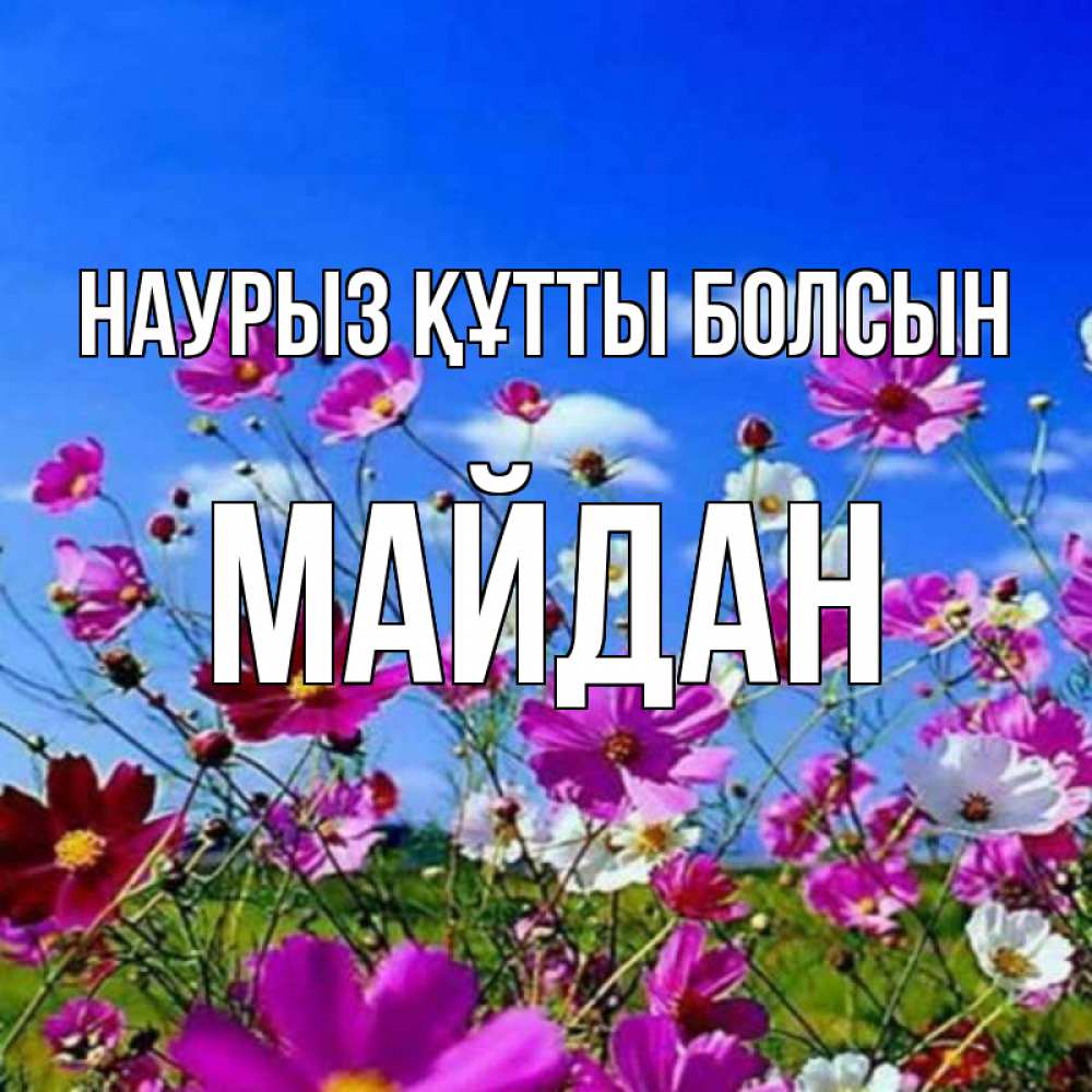 Күн сайын ашық хат с именем, МАЙДАН Наурыз құтты болсын цветы Онлайн тегін жүктеп алу тілектері бар керемет карта 
