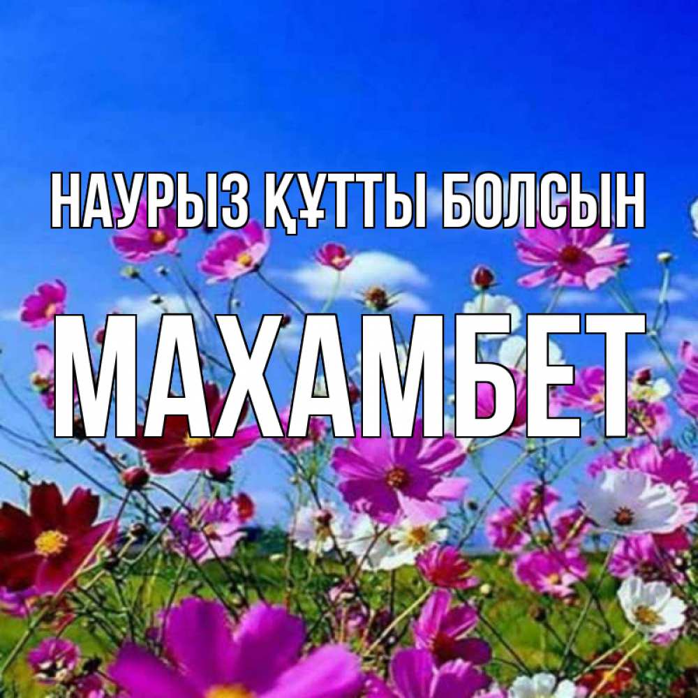 Күн сайын ашық хат с именем, МАХАМБЕТ Наурыз құтты болсын цветы Онлайн тегін жүктеп алу тілектері бар керемет карта 