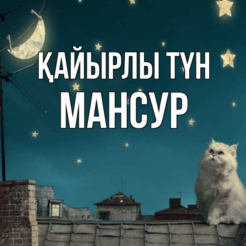 Күн сайын ашық хат с именем, Мансур Қайырлы түн белый кот сидит на крыше Онлайн тегін жүктеп алу тілектері бар керемет карта 