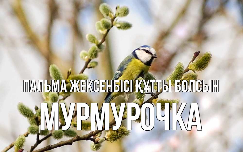 Күн сайын ашық хат с именем, Мурмурочка Пальма жексенбісі құтты болсын верба Онлайн тегін жүктеп алу тілектері бар керемет карта 