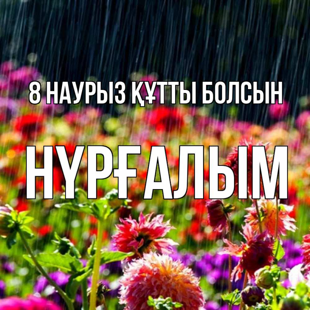 Күн сайын ашық хат с именем, НҮРҒАЛЫМ 8 наурыз құтты болсын цветы под дождиком к международному женскому дню Онлайн тегін жүктеп алу тілектері бар керемет карта 