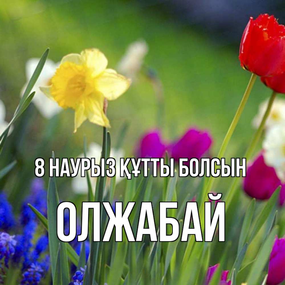 Күн сайын ашық хат с именем, ОЛЖАБАЙ 8 наурыз құтты болсын международный женский день 3 Онлайн тегін жүктеп алу тілектері бар керемет карта 