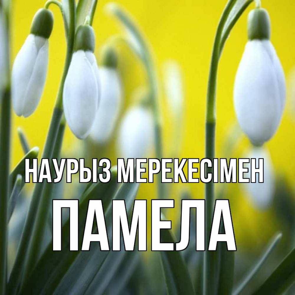 Күн сайын ашық хат с именем, Памела Наурыз мерекесімен весенние цветы Онлайн тегін жүктеп алу тілектері бар керемет карта 