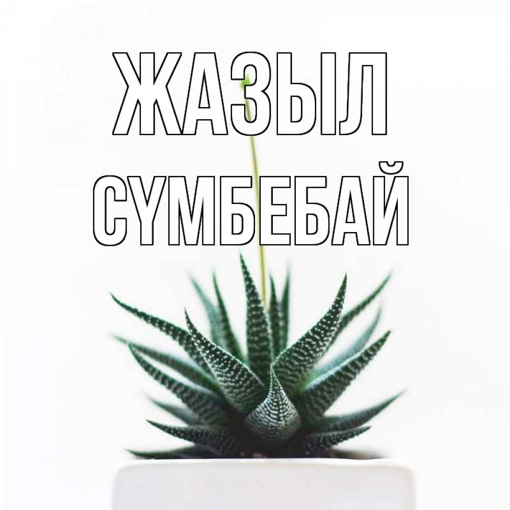 Күн сайын ашық хат с именем, СҮМБЕБАЙ Жазыл короче это непонятная колючка Онлайн тегін жүктеп алу тілектері бар керемет карта 
