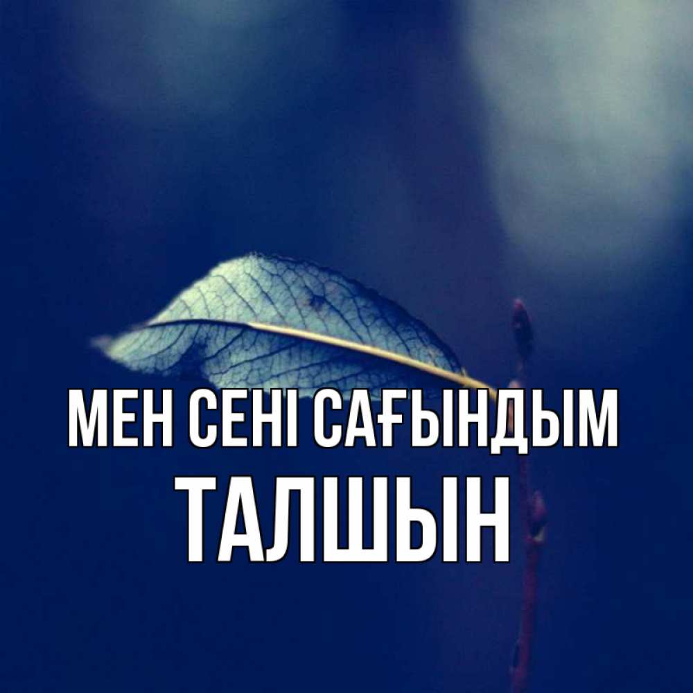 Күн сайын ашық хат с именем, ТАЛШЫН Мен сені сағындым одна ветка 1 Онлайн тегін жүктеп алу тілектері бар керемет карта 