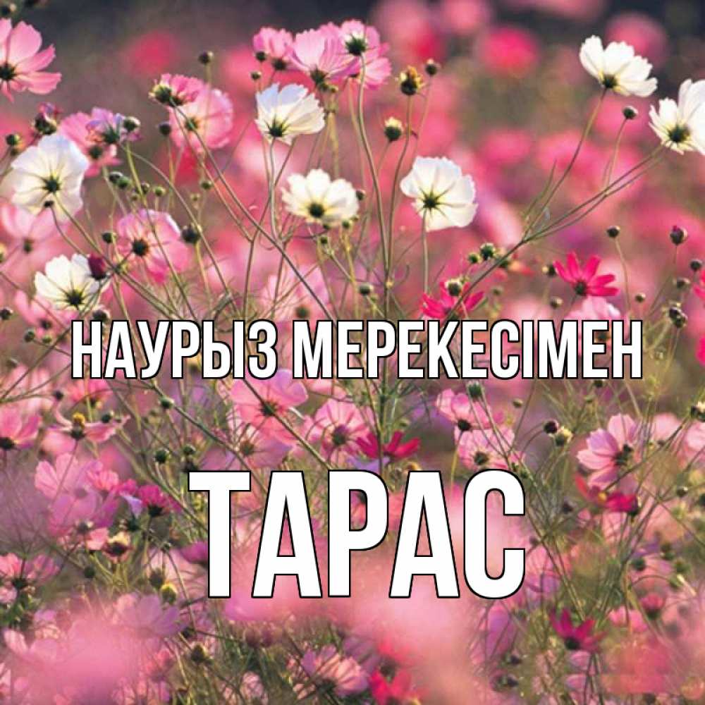 Күн сайын ашық хат с именем, Тарас Наурыз мерекесімен красиво 1 Онлайн тегін жүктеп алу тілектері бар керемет карта 