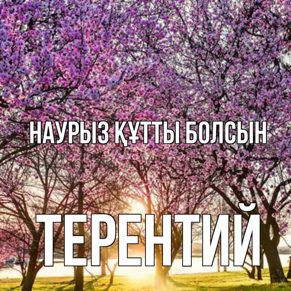 Күн сайын ашық хат с именем, Терентий Наурыз құтты болсын наурыз Онлайн тегін жүктеп алу тілектері бар керемет карта 