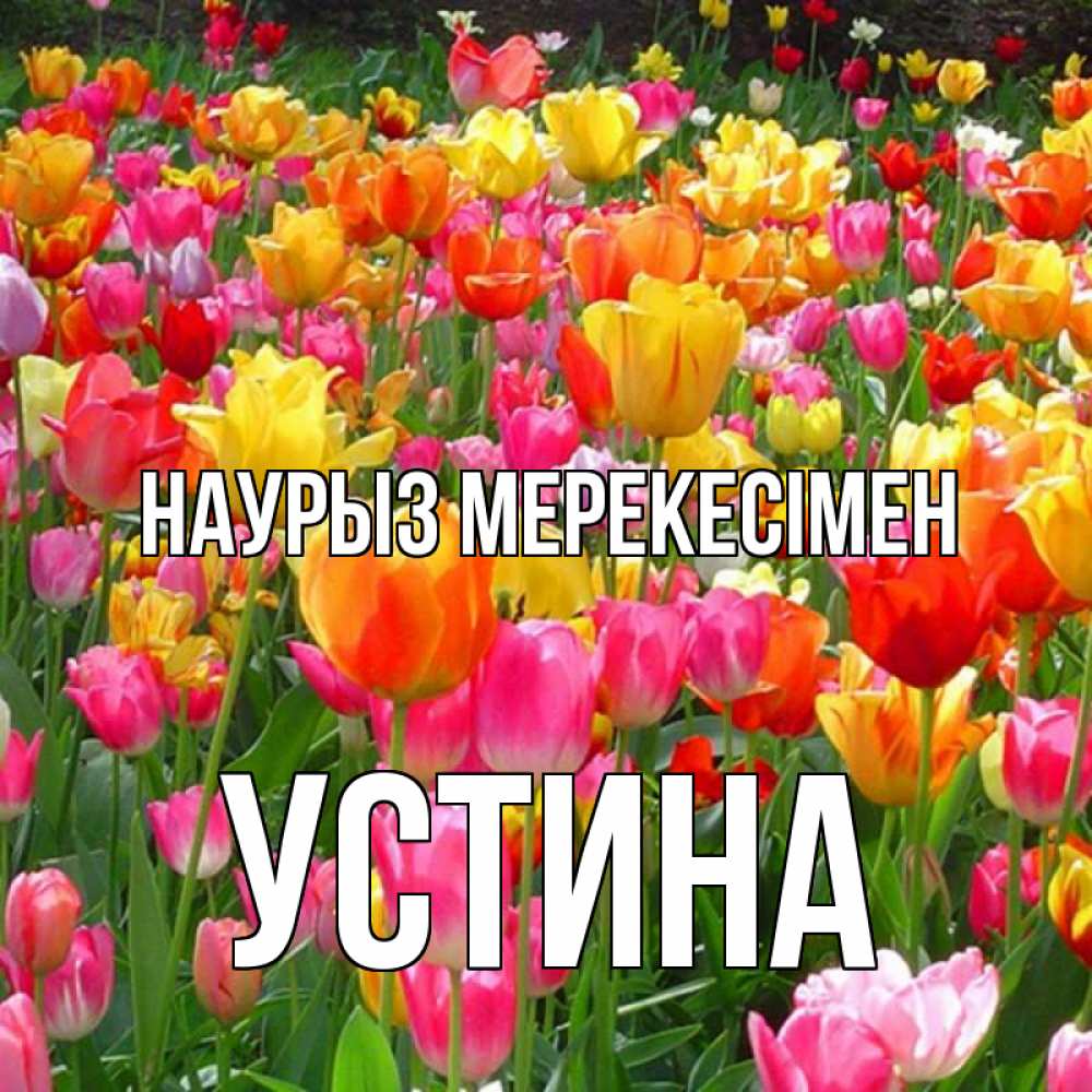 Күн сайын ашық хат с именем, Устина Наурыз мерекесімен праздник весны наурыз 4 Онлайн тегін жүктеп алу тілектері бар керемет карта 