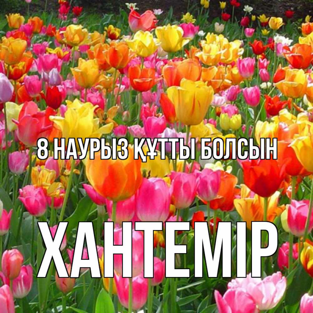 Күн сайын ашық хат с именем, ХАНТЕМІР 8 наурыз құтты болсын на международный женский день Онлайн тегін жүктеп алу тілектері бар керемет карта 