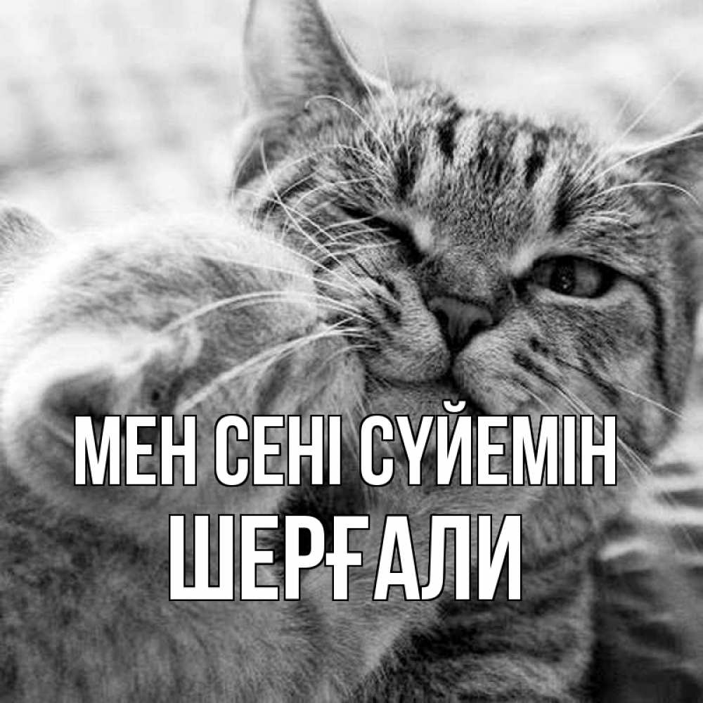 Күн сайын ашық хат с именем, ШЕРҒАЛИ Мен сені сүйемін коты Онлайн тегін жүктеп алу тілектері бар керемет карта 