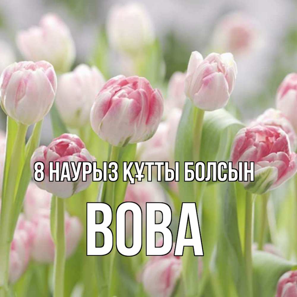 Күн сайын ашық хат с именем, Вова 8 наурыз құтты болсын цветы Онлайн тегін жүктеп алу тілектері бар керемет карта 