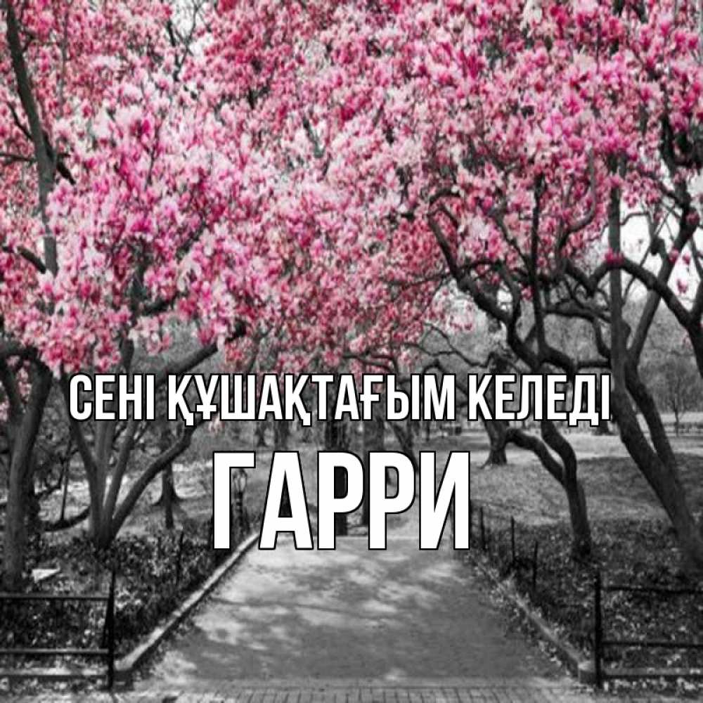 Күн сайын ашық хат с именем, Гарри сені құшақтағым келеді обработанное фото Онлайн тегін жүктеп алу тілектері бар керемет карта 