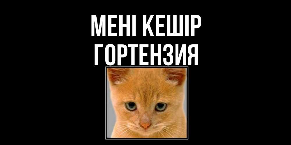 Күн сайын ашық хат с именем, Гортензия Мені кешір рыжий грустный кот просит прощения Онлайн тегін жүктеп алу тілектері бар керемет карта 