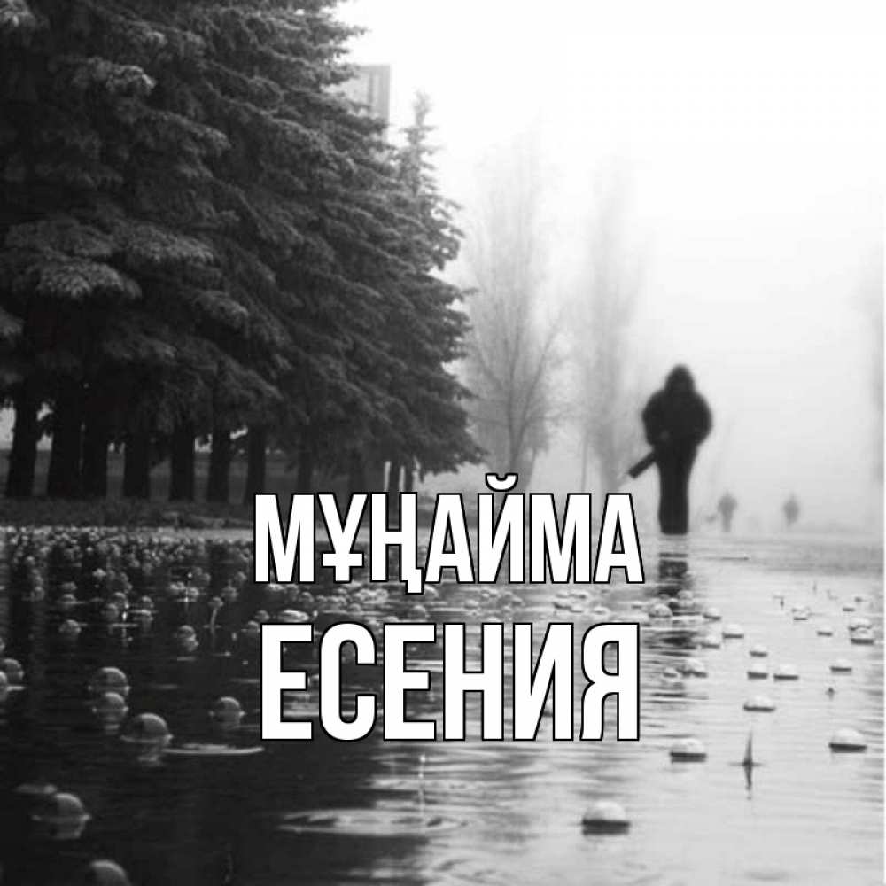 Күн сайын ашық хат с именем, Есения Мұңайма улица под дождем Онлайн тегін жүктеп алу тілектері бар керемет карта 