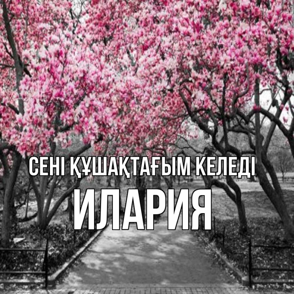 Күн сайын ашық хат с именем, Илария сені құшақтағым келеді обработанное фото Онлайн тегін жүктеп алу тілектері бар керемет карта 