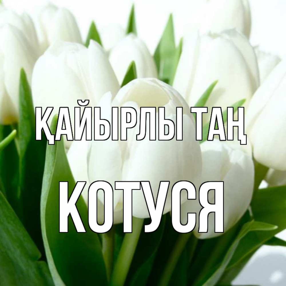 Күн сайын ашық хат с именем, Котуся Қайырлы таң открытки на каждый день по именам Онлайн тегін жүктеп алу тілектері бар керемет карта 