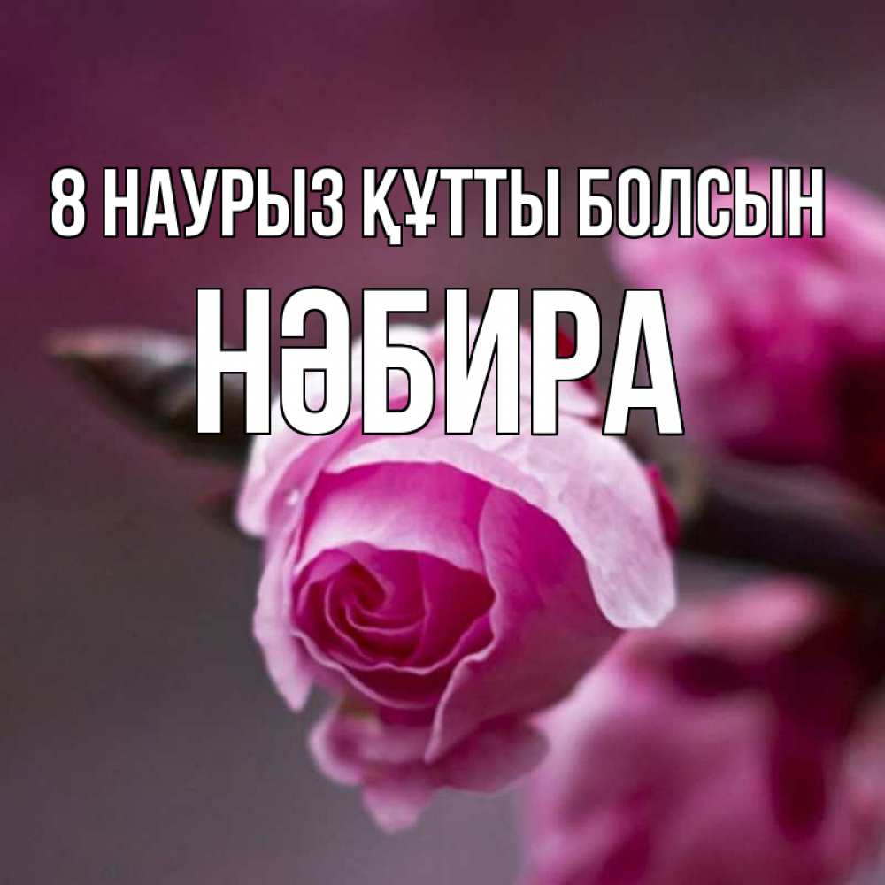 Күн сайын ашық хат с именем, НӘБИРА 8 наурыз құтты болсын весна Онлайн тегін жүктеп алу тілектері бар керемет карта 