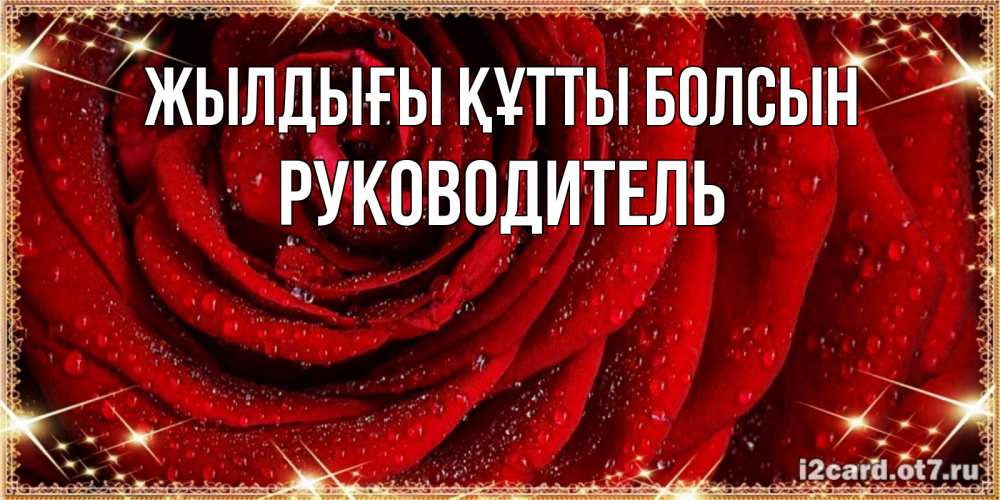 Күн сайын ашық хат с именем, Руководитель Жылдығы құтты болсын роса на розе блестящая в лучах солнца Онлайн тегін жүктеп алу тілектері бар керемет карта 