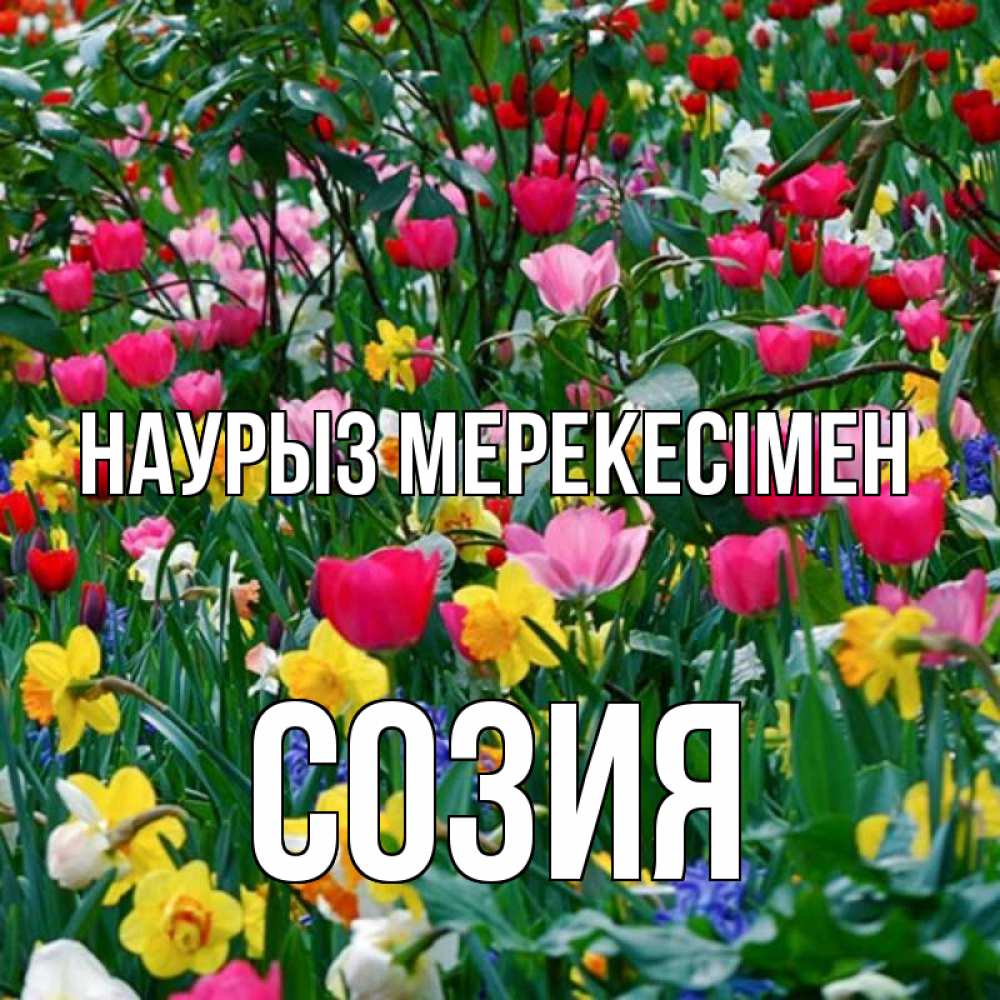 Күн сайын ашық хат с именем, Созия Наурыз мерекесімен с наурызом праздником весны поздравления для женщины Онлайн тегін жүктеп алу тілектері бар керемет карта 