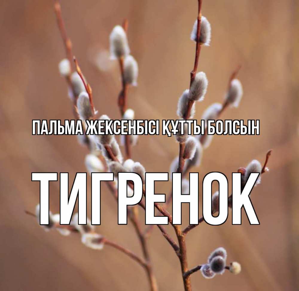 Күн сайын ашық хат с именем, Тигренок Пальма жексенбісі құтты болсын верба Онлайн тегін жүктеп алу тілектері бар керемет карта 