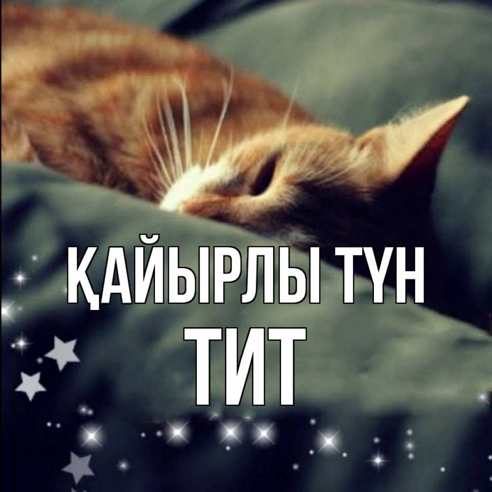Күн сайын ашық хат с именем, Тит Қайырлы түн кроватка Онлайн тегін жүктеп алу тілектері бар керемет карта 