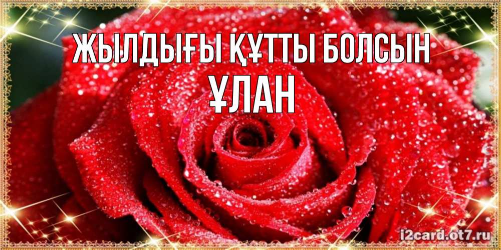 Күн сайын ашық хат с именем, ҰЛАН Жылдығы құтты болсын роса и роза. открытка с красивой розой Онлайн тегін жүктеп алу тілектері бар керемет карта 