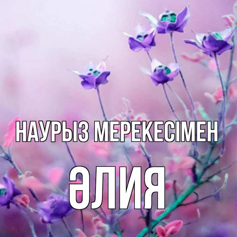 Күн сайын ашық хат с именем, ӘЛИЯ Наурыз мерекесімен международный женский день 2 Онлайн тегін жүктеп алу тілектері бар керемет карта 