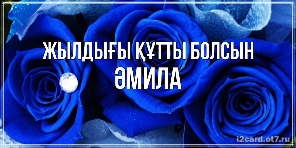 Күн сайын ашық хат с именем, ӘМИЛА Жылдығы құтты болсын синие розы в росе Онлайн тегін жүктеп алу тілектері бар керемет карта 