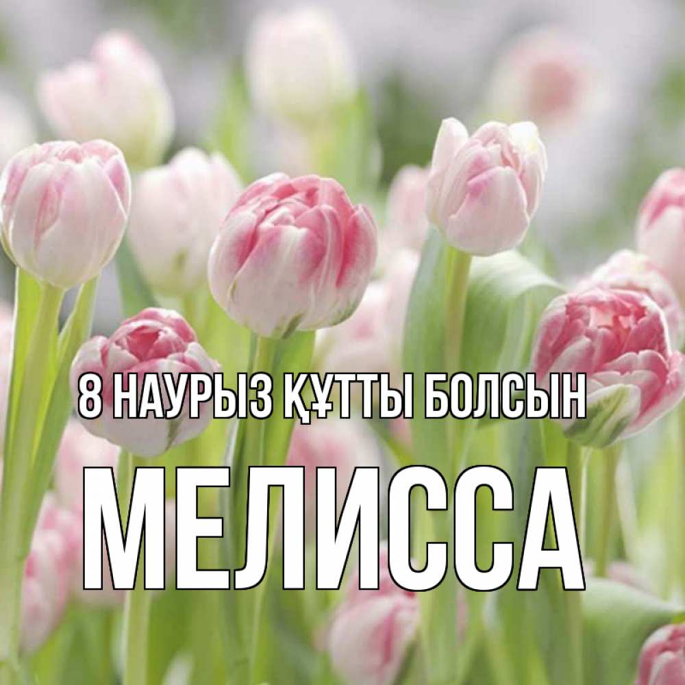 Күн сайын ашық хат с именем, Мелисса 8 наурыз құтты болсын цветы Онлайн тегін жүктеп алу тілектері бар керемет карта 