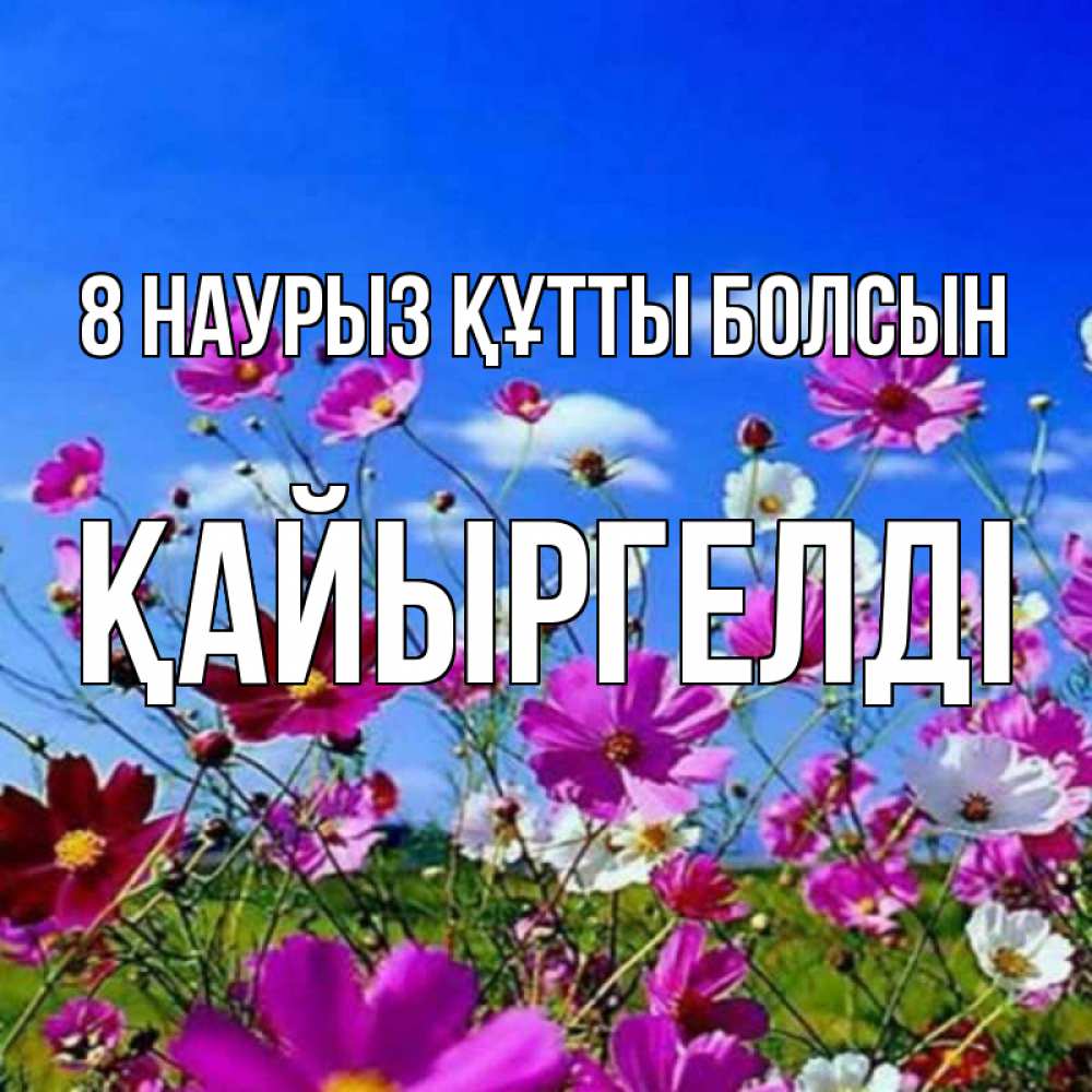 Күн сайын ашық хат с именем, Қайыргелді 8 наурыз құтты болсын цветы Онлайн тегін жүктеп алу тілектері бар керемет карта 
