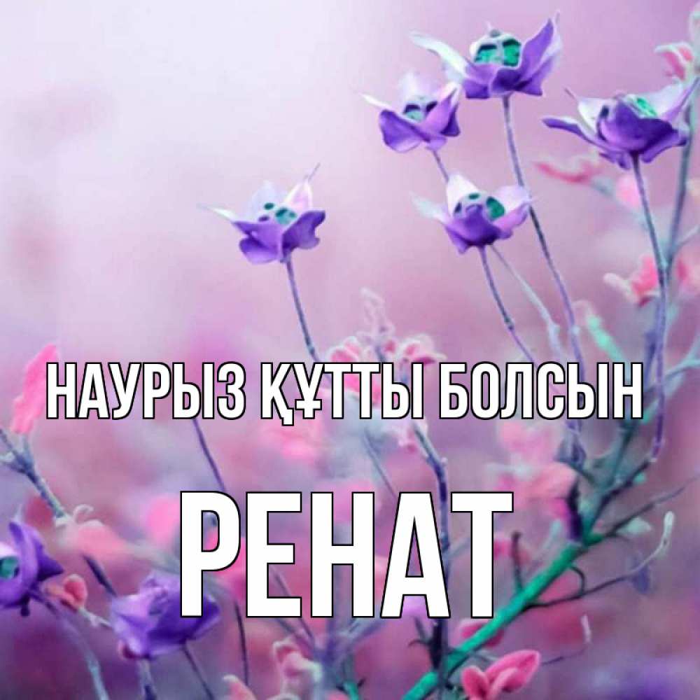 Күн сайын ашық хат с именем, РЕНАТ Наурыз құтты болсын наурыз  2 Онлайн тегін жүктеп алу тілектері бар керемет карта 